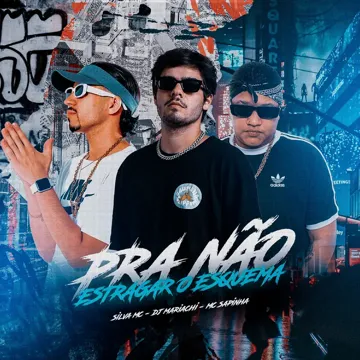 Pra Não Estragar o Esquema-cover
