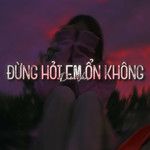 Đừng Hỏi Em Ổn Không (Lofi)-cover