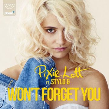 Won't Forget You-cover