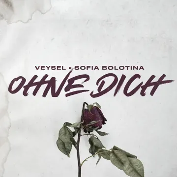Ohne Dich (Remix)-cover