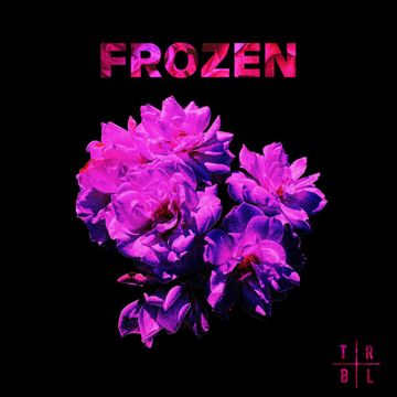 Frozen-cover