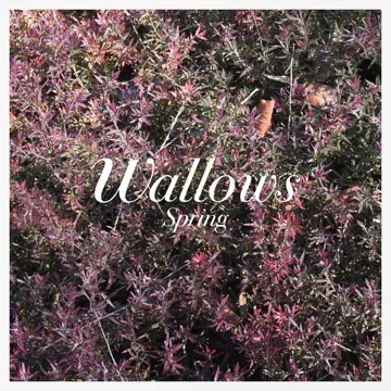 These Days-cover