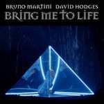 Bring Me To Life-cover