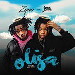 zynojeriq-olisa-cover-image
