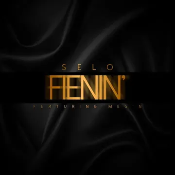 Fienin' (feat. Meg'n)-cover