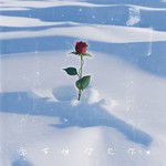 季节性梦见你-cover