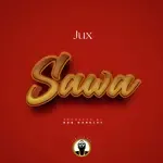 Sawa-cover