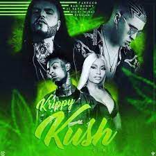 Krippy Kush(Remix)-cover