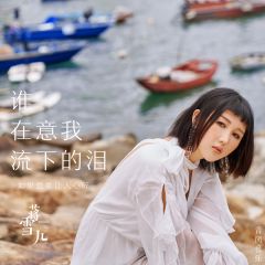 誰在意我流下的淚 (Còn Ai Để Ý Nước Mắt Em Rơi )