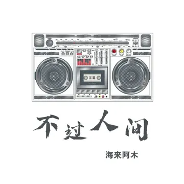 不过人间 (DJ沈念版)