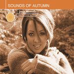 Autumn Nocturne(Album Version)-cover
