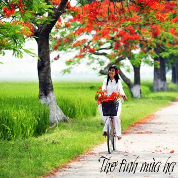 Sông Đắc Krông Mùa Xuân Về-cover