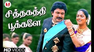 சித்தகத்தி பூக்களே சுத்தி வர-cover