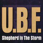 Shepherd In The Storm(Radio Edit)