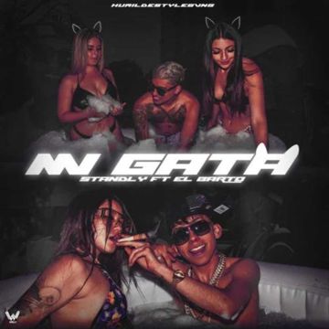 Mi Gata-cover