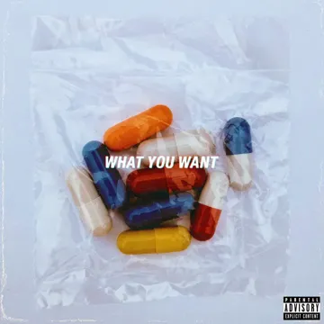 What You Want-cover