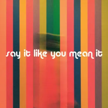 say it like you mean it-cover
