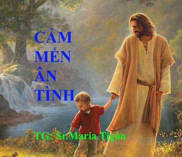 CẢM MẾN ÂN TÌNH (SC)