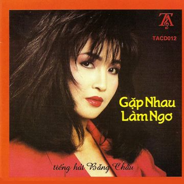 Gặp Nhau Làm Ngơ-cover
