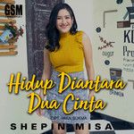 Hidup Diantara Dua Cinta-cover