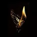 İnadına-cover