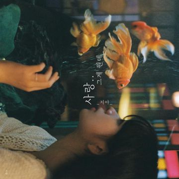 사랑..그게 뭔데-cover