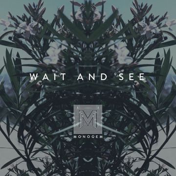 Wait and See-cover