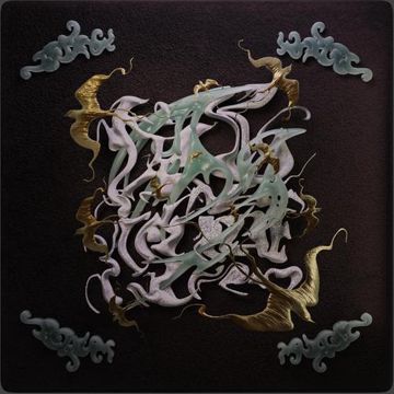 SNAP-cover