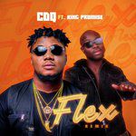 Flex (Remix)-cover