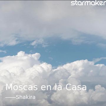 Moscas en la Casa-cover