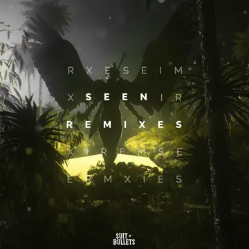 Seen (Paul Flint Remix)-cover