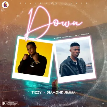 Down-cover