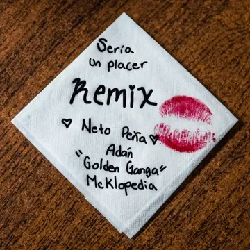 Sería Un Placer Remix-cover