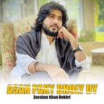 zeeshan-khan-rokhri-chita-jiya-dhola-cover-image