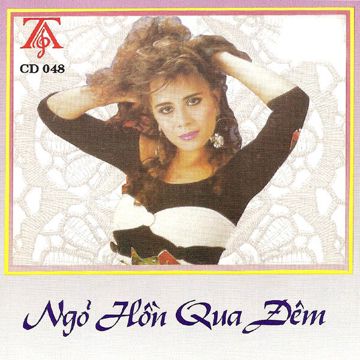 Ngõ Hồn Qua Đêm-cover