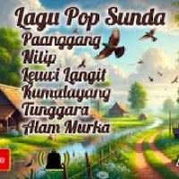 Nitip