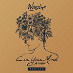 Cross Your Mind(Jenaux Remix)-cover