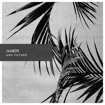 NY (Ned Flander) feat.Hodgy Beats & Tyler，The Creator-cover