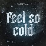 Feel so cold-cover