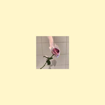 Cigarettes and Sex-cover