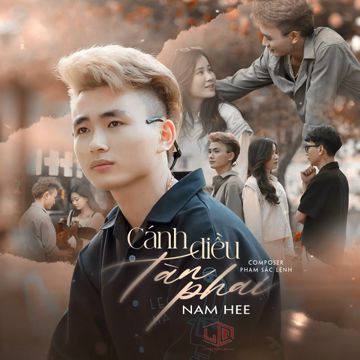 Cánh Diều Tàn Phai-cover