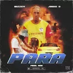 Para-cover