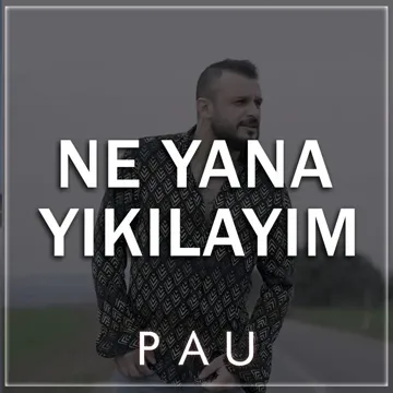 Ne Yana Yıkılayım-cover