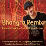 Ma(Krishan Remix)(Remix)-cover