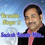 Hridayi Vasant Phulatana-cover