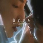 你走之后-cover