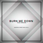 Burn Me Down(Rock Version)-cover