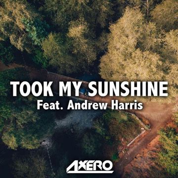 Took My Sunshine-cover