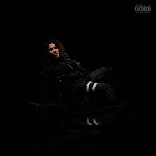 Adieu mon amour-cover
