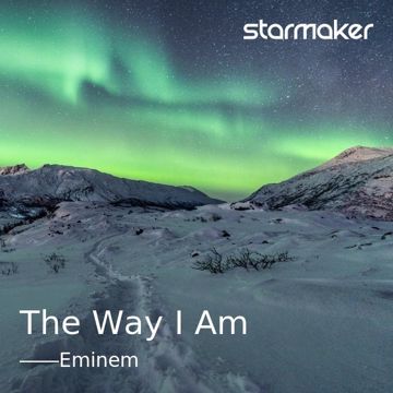 The Way I Am-cover